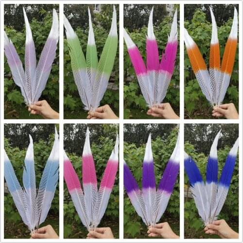Multicolor 100pcs Wholesale Beautiful Silver Pheasant Feathers 65-70cm/26-28inches Stage Performances Decoration