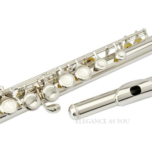 Examination level high grade 16 hole E key C flute professional performance learning C flute 16 holes closed free flute bags