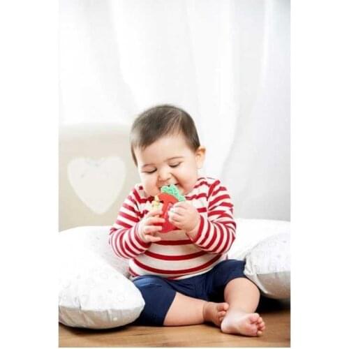 CHICCO ANILLO DENT SUAVE RELAX NUEV AN 4 MESES