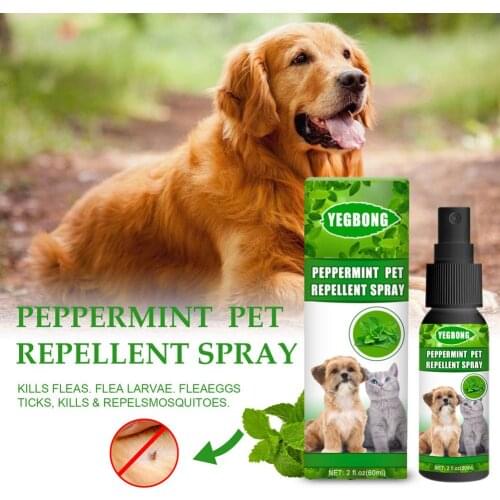 Liilaimic Accessories For Cats