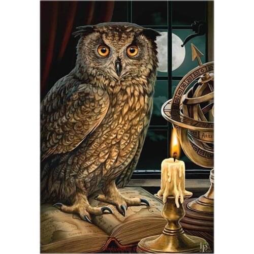 Embroidery Counted Cross Stitch Kits Needlework - Crafts 14 ct DMC Color DIY Arts Handmade Decor - The Astrologer