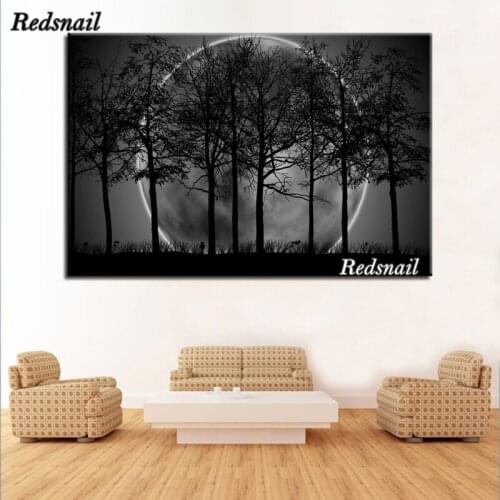Diy diamond painting cross stitch 5D diamond embroidery mosaic picture Black White Moon Night Psychedelic Forest scenery EE369