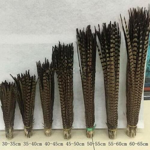 New! Selling 50 beautiful pheasant feathers Various colors optional long 12-26 inch 30-65 cm various props decoration