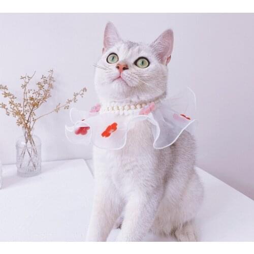 CING GUE Clothes For Cats