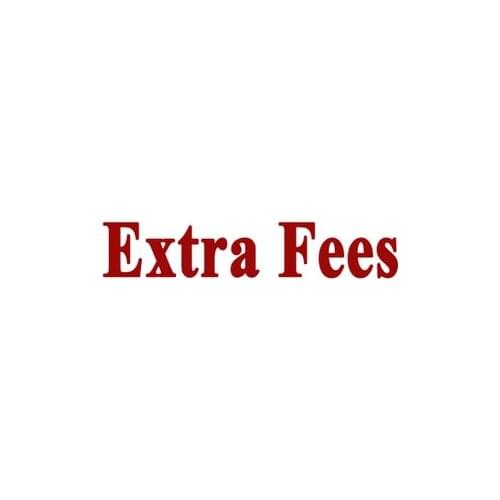 Extra fee for shipping or accessories
