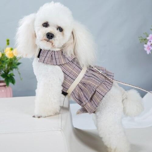 Dog Vest Harness Set Dog Breathable Mesh Dress Collar for Small Girl Dogs Retractable Pet Belt Leash Puppy Stripe Skirt