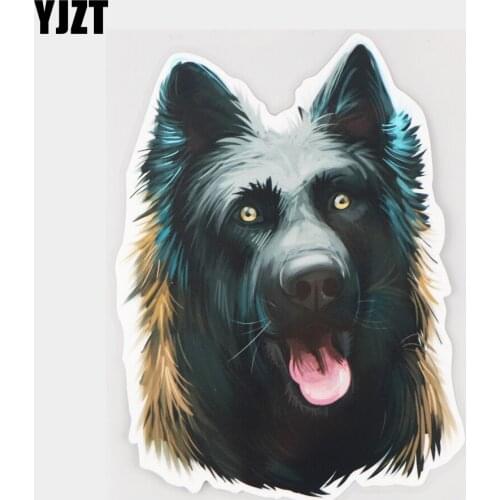 YJZT 12×16.4CM Dutch Pet Dog Cartoon Vinyl Decals Fashion Funny Bumper Scratch Occlusion Car Stickers 21A-0318