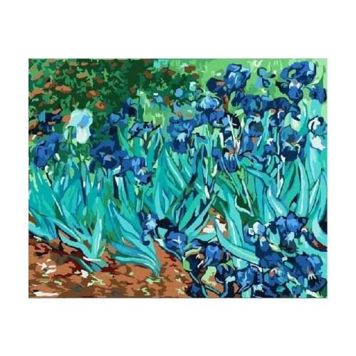 Irises Framed Flower DIY Painting By Numbers Painting & Calligraphy Canvas Painting Coloring By Numbers 40x50cm