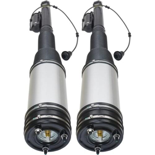 AP02 Pair of rear shock absorbers For Mercedes Benz S class W220 left and right 2203202338