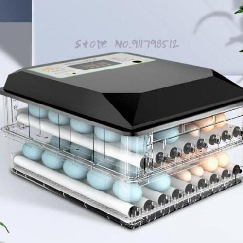 Incubator Automatic Intelligent Small Household Mini Chicken Duck Goose Pigeon Egg Water Bed Incubator