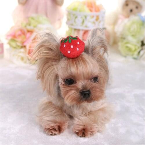 Fashion Dog Hair Accessory Teddy Yorkshire Terrier Pet Dog Cute Animal Strawberry Plush Hairpin Headdress Jewelry