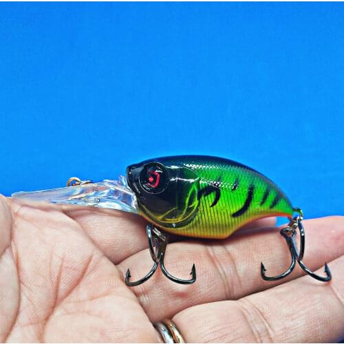 DHYJSFDC Fishing Bait