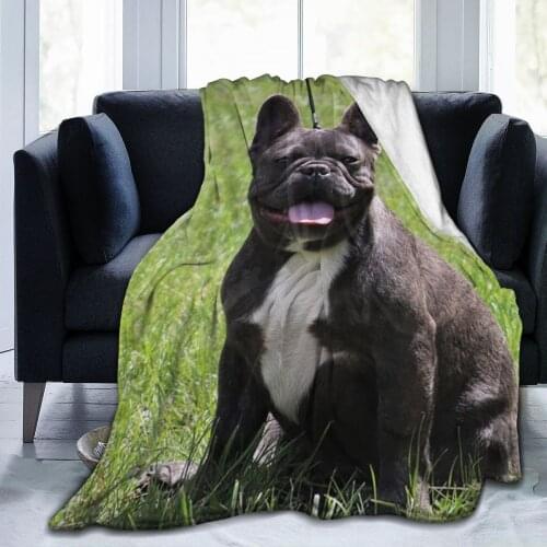 French Bulldog sofa bedroom warm blanket 3D printing blanket air conditioner quilt throw sheet adult home textile children gift