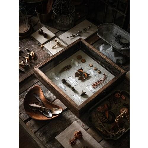 Seed creation retro animal and plant specimen decorative painting box hand-made butterfly photo frame dried flower insect