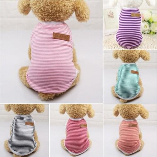 PUTIMI Clothes And Footwear For Dogs