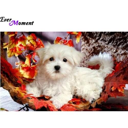Diamond mosaic full diamond embroidery dog diamond cross stitch crystal diamond sets decorative diy dimaond painting ASF170