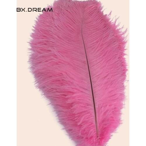 Wholesale 10 / batch 20-25 cm high quality dyeing natural pink ostrich feather crafts wedding decoration carnival costume DIY