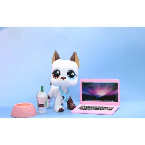 Pet Great Dane #577 Different Eyes Brown and Blue Eeyes with Accessories Lot Computer Drink Collar Bowl Rare Figures Collectable