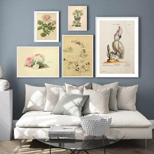 Butterfly Birds Vintage Poster and Prints Flowers Mushrooms Botanical Educational Prints Canvas Wall Art Painting Pictures