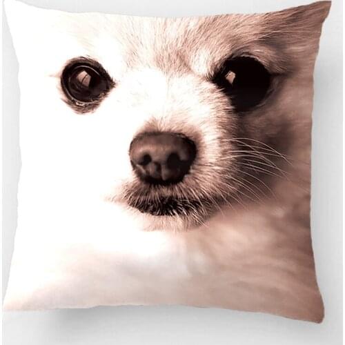 Precious Pomeranian Accent Wedding Decorative Cushion Cover Pillow Case Customize Gift By Lvsure For Car Sofa Seat Pillowcase