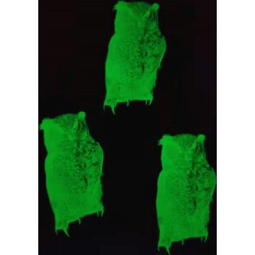 Patches Noctilucent Night Owl Stickers for Clothes Thermal Transfer Printing Pattern DIY Decoration Luminous Style Animal Patch