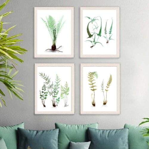 Watercolor Ferns Green Plants Leaf Posters and Prints Vintage Botanical Wall Art Pictures Natural Painting Home Wall Decor
