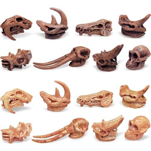 Children Toys Archeology Prehistoric Mammal Dinosaur Skull Fossil Model Set Tyrannosaurus Skull Fossil Science Educational Toys