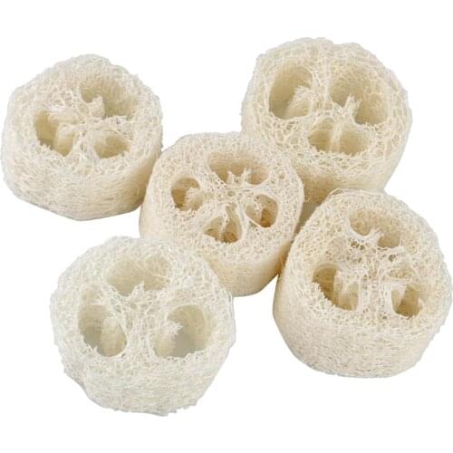 5 Pieces Natural Loofah Luffa Pot Bowl Sponge Scrubber For Outdoor Hiking