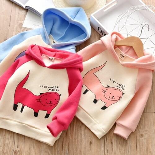 Girl Hoodies 2020 Baby Girl Clothes Spring Autumn Children Hoodie For Girls Sweatshirt Kids Long Sleeve Tops T Shirts Cartoon