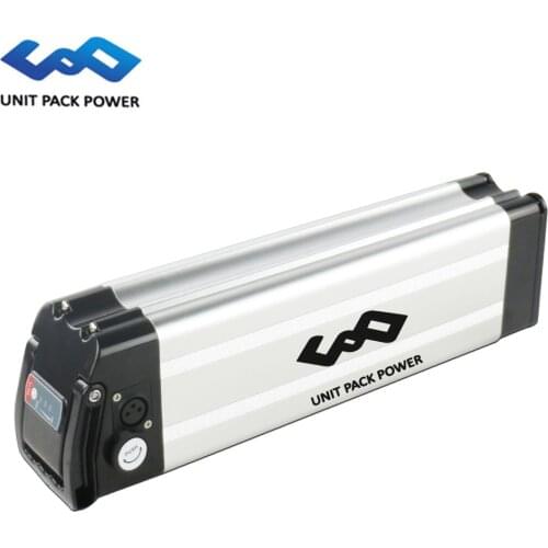 New design Silver Fish case E-bike Li-ion battery 48V 16Ah BMS and charger for 1000W electronic bicycle