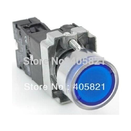 Momentary Blue Flat Pushbutton With Pilot lamp AC/DC 24V 1N/O 22MM Spring Return