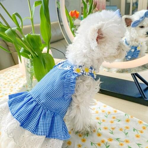 Princess Skirt Pet Dog skirt Teddy Hiromi Dog two-legged clothes Small Dog Puppies Spring and Summer Pineapple Skirt