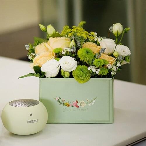 Rootsense Fridge Deodorizer / wish you a fresh life