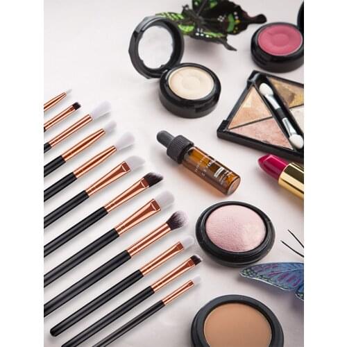 12pcs/kit Professional Makeup Brush Eye Shadow Brush Lip Brush Makeup Brush Set Portable Makeup Tools