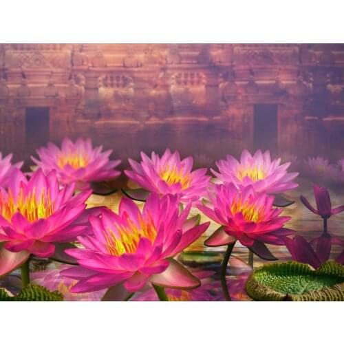 JMINE Div 5D Lotus flower Full Diamond Painting cross stitch kits art High Quality Floral 3D paint by diamonds