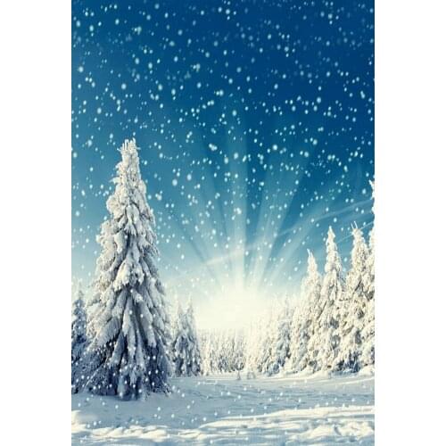 Winter Snowscape Sunshine Forest Snowflake Scenic Portrait Photographic Backdrop Photography Background For Photo Studio Shoot