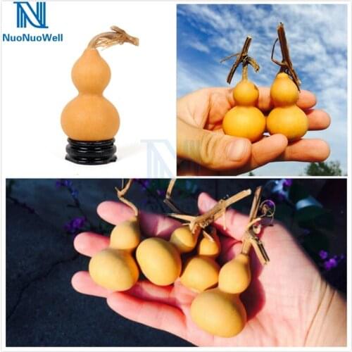 NuoNuoWell 10 Pcs-Pack Natural Dried Gourd 4-6CM Mini Cute Craft Home Decoration Beauty Paint Gift