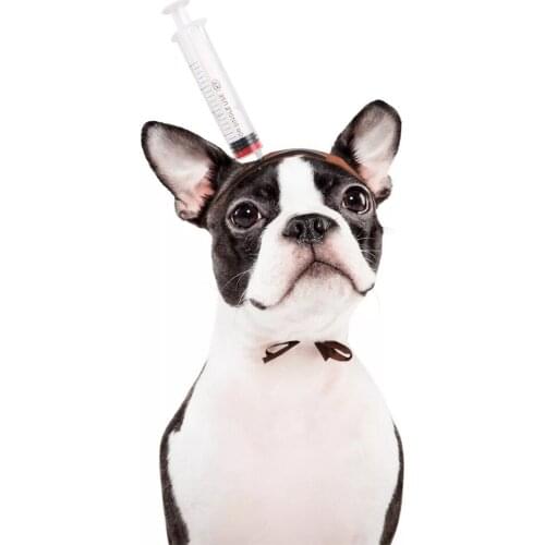 Halloween-Prop Pets Cat Dog Headgear Costume Cosplay For Funny Scissor Axe Saw Photograph Props Cats Dogs pet accessories