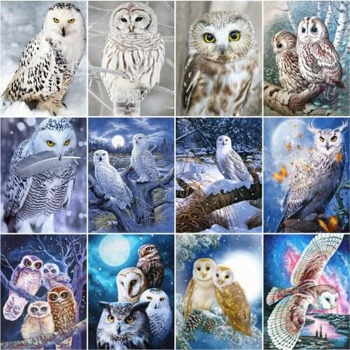 HUACAN DIY Coloring By Number Owl Handpainted Modern Wall Art Oil Painting By Numbers On Canvas Acrylic Animal Unique Gifts