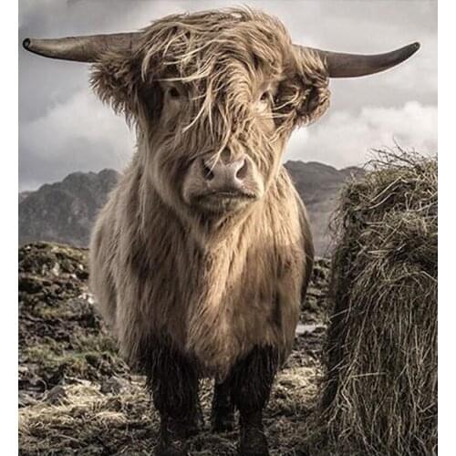 KAMY YI Boutique Animals Consuming Cows Plateau 3D Diy Diamond Painting Photo Embroidery Mosaic Mural European Home Decor