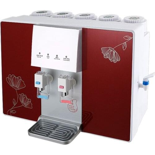 Household RO Water Filter Water Purifier heating machine RO reverse osmosis fruit and vegetable detoxification machine