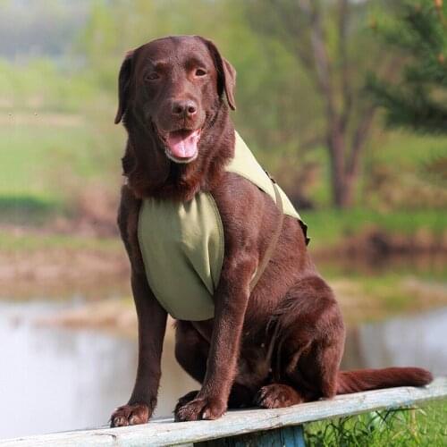 OSSO FASHION Dog Accessories