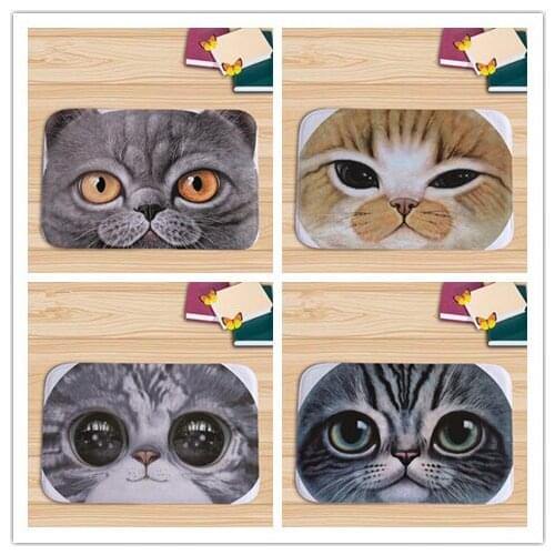 Home decor big cat face prited flannel soft door mat floor mats bath kitchen carpet 40x60cm living room