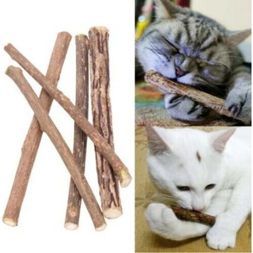 DURUING Toys For Cats