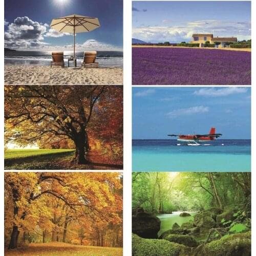 Vinyl Custom Photography Backdrops scenery Photography Background NY1FD-18