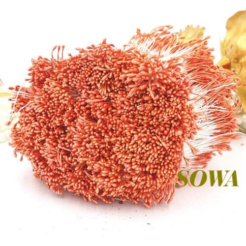 Free shipping 1mm 900pcs/Lot Double Heads Sweet Orange Flower Pearl Stamen Cake Decoration Craft DIY