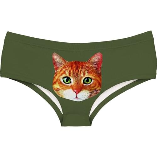 Rainbow Girl Briefs Medium Waist Printed Polyester Underwear for Ladies Women Panties with Rabbit Racoon Rose