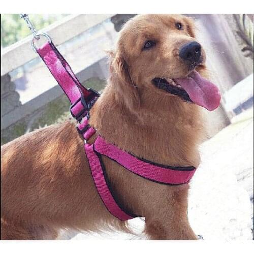 [ Fly Eagle ]Collier chien dogs harnais chiens Adjustable dog harness and leash honden halsband coleiras para caes coleira gato