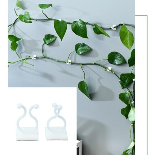 10Pcs/bag Self-adhesive Hook Holder Vines Fastener Tied Clips Buckle Fixed Lashing Tool Garden Plant Wall Climbing Vine Clips