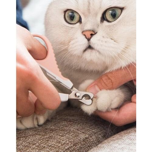 ABELADOPET Comb For Cats